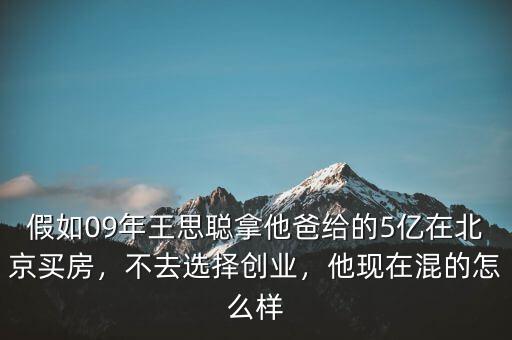 假如09年王思聰拿他爸給的5億在北京買(mǎi)房，不去選擇創(chuàng)業(yè)，他現(xiàn)在混的怎么樣