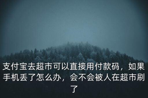手機(jī)被偷被拿去掃碼消費怎么辦,手機(jī)被人偷了