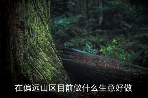 偏遠(yuǎn)城市做什么項目,可用5年。做什么項目好呢