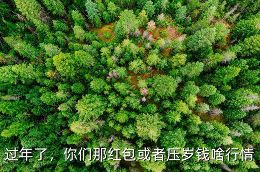 過年了，你們那紅包或者壓歲錢啥行情