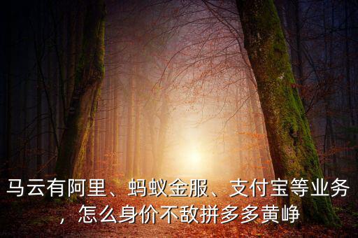 馬云有阿里、螞蟻金服、支付寶等業(yè)務(wù)，怎么身價(jià)不敵拼多多黃崢