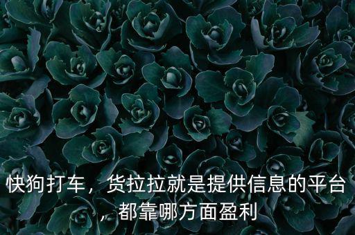快狗打車，貨拉拉就是提供信息的平臺，都靠哪方面盈利