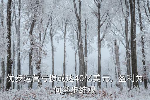 優(yōu)步運(yùn)營虧損或達(dá)40億美元，盈利為何舉步維艱