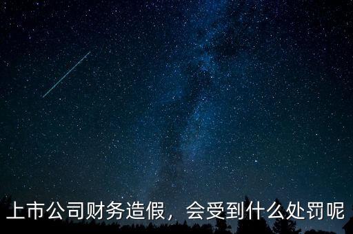 上市公司財務造假，會受到什么處罰呢