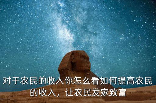 對于農民的收入你怎么看如何提高農民的收入，讓農民發(fā)家致富