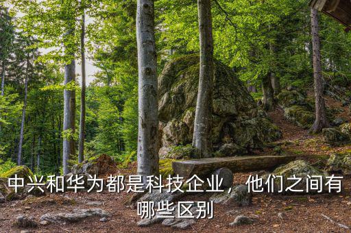 中興和華為都是科技企業(yè)，他們之間有哪些區(qū)別