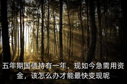 五年期國(guó)債持有一年，現(xiàn)如今急需用資金，該怎么辦才能最快變現(xiàn)呢