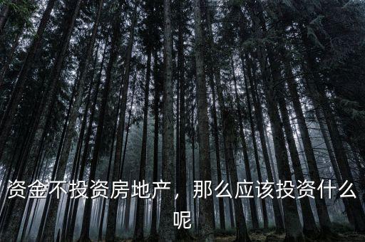 資金不投資房地產(chǎn)，那么應(yīng)該投資什么呢
