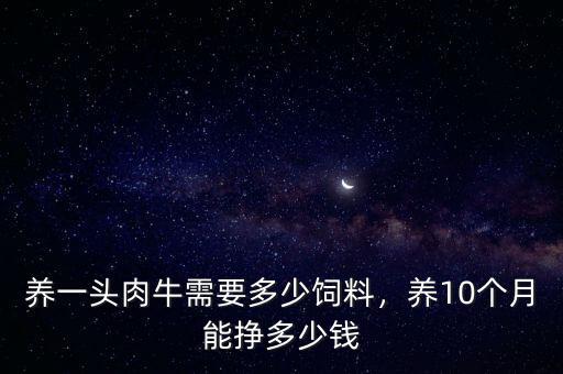 養(yǎng)一頭肉牛需要多少飼料，養(yǎng)10個(gè)月能掙多少錢