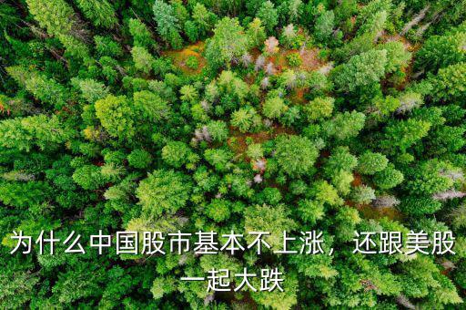 為什么中國(guó)股市基本不上漲，還跟美股一起大跌