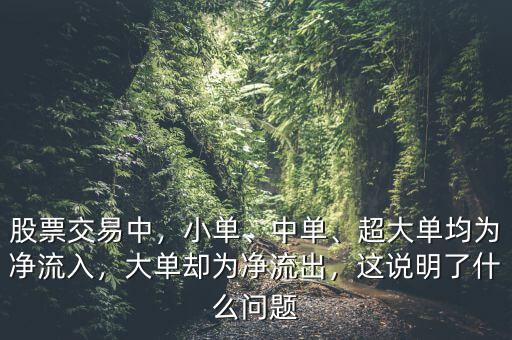 股票交易中，小單、中單、超大單均為凈流入，大單卻為凈流出，這說明了什么問題