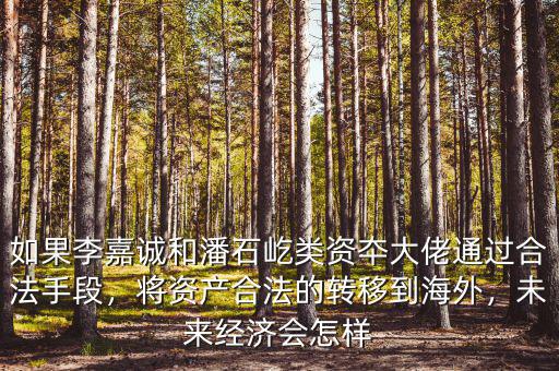 如果李嘉誠(chéng)和潘石屹類資夲大佬通過(guò)合法手段，將資產(chǎn)合法的轉(zhuǎn)移到海外，未來(lái)經(jīng)濟(jì)會(huì)怎樣