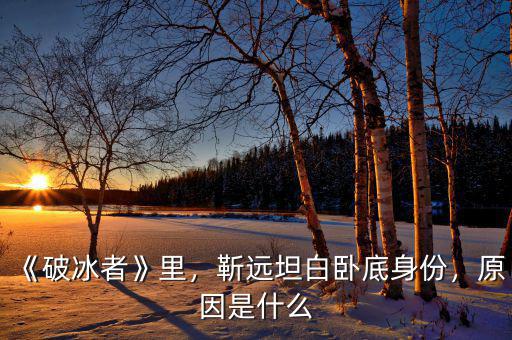 《破冰者》里，靳遠(yuǎn)坦白臥底身份，原因是什么