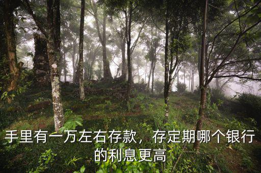 手里有一萬(wàn)左右存款，存定期哪個(gè)銀行的利息更高