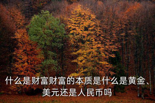什么是財(cái)富財(cái)富的本質(zhì)是什么是黃金、美元還是人民幣嗎