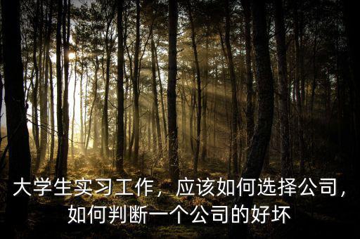 大學(xué)生實(shí)習(xí)工作，應(yīng)該如何選擇公司，如何判斷一個公司的好壞