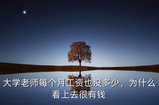 大學(xué)老師每個(gè)月工資也沒(méi)多少，為什么看上去很有錢