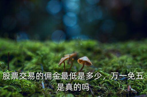 股票交易的傭金最低是多少，萬一免五是真的嗎