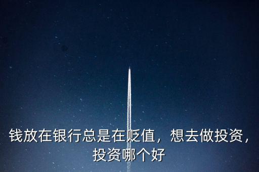 錢放在銀行總是在貶值，想去做投資，投資哪個好