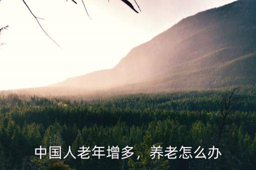 中國(guó)人老年增多，養(yǎng)老怎么辦