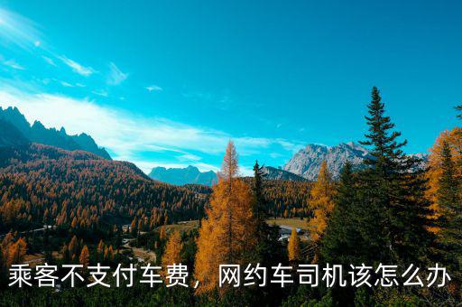 乘客不支付車費，網(wǎng)約車司機(jī)該怎么辦