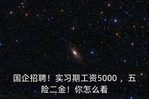 國(guó)企招聘！實(shí)習(xí)期工資5000 ，五險(xiǎn)二金！你怎么看