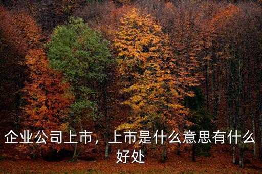 企業(yè)公司上市，上市是什么意思有什么好處
