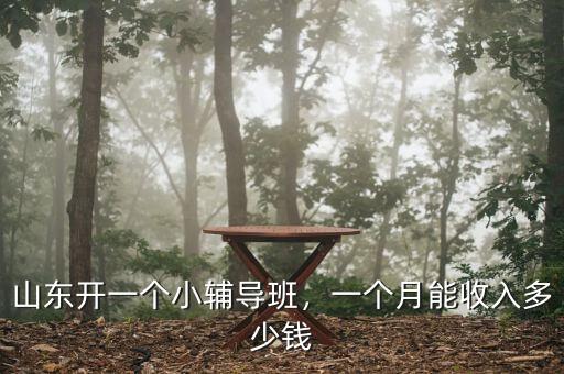 山東開(kāi)一個(gè)小輔導(dǎo)班，一個(gè)月能收入多少錢(qián)