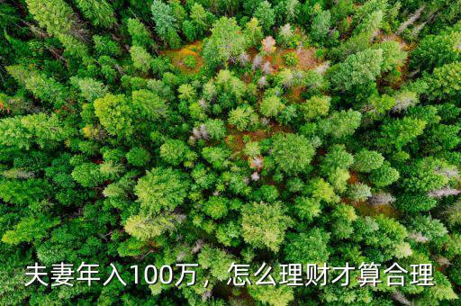 夫妻年入100萬，怎么理財(cái)才算合理
