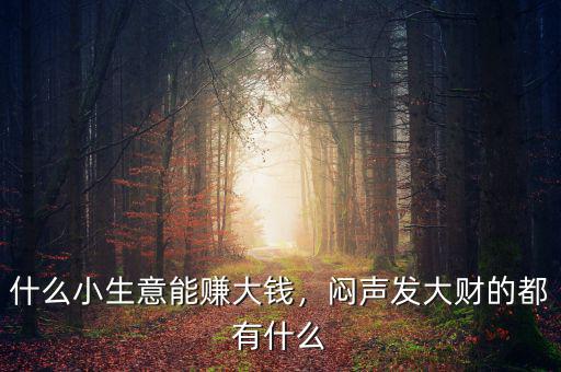 什么小生意能賺大錢，悶聲發(fā)大財?shù)亩加惺裁? class=