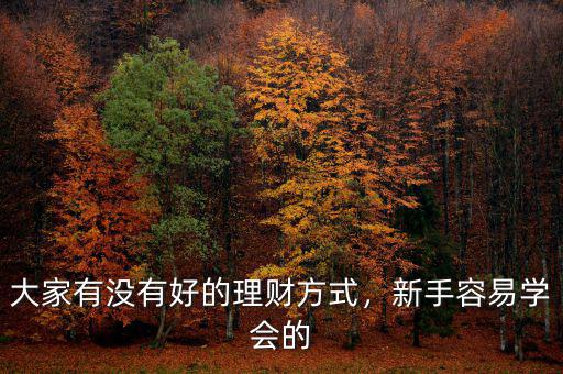 大家有沒(méi)有好的理財(cái)方式，新手容易學(xué)會(huì)的