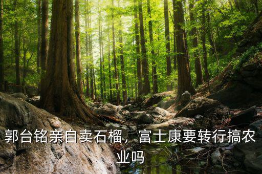 郭臺銘親自賣石榴，富士康要轉(zhuǎn)行搞農(nóng)業(yè)嗎