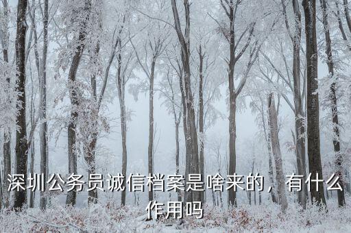 深圳公務(wù)員誠(chéng)信檔案是啥來(lái)的，有什么作用嗎