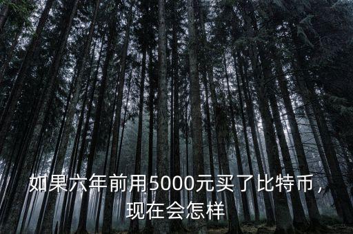 如果六年前用5000元買了比特幣，現(xiàn)在會怎樣