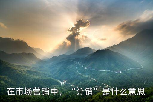 在市場(chǎng)營(yíng)銷中，“分銷”是什么意思