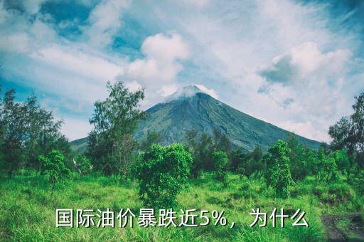 國際油價暴跌近5%，為什么