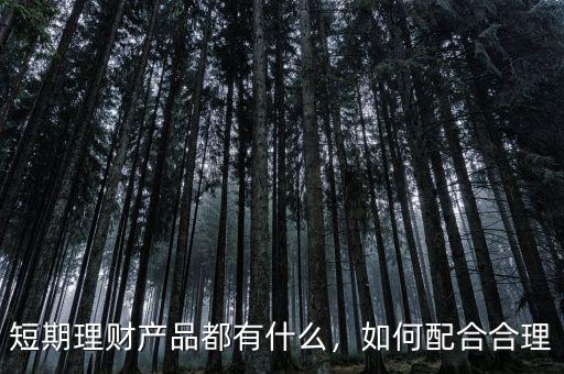 短期理財(cái)產(chǎn)品都有什么，如何配合合理