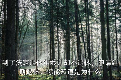 到了法定退休年齡，卻不退休，申請(qǐng)延期退休，你能知道是為什么