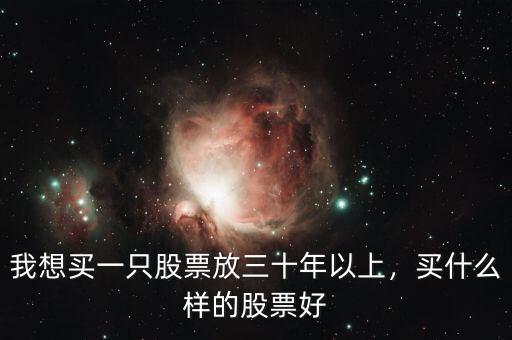 我想買一只股票放三十年以上，買什么樣的股票好