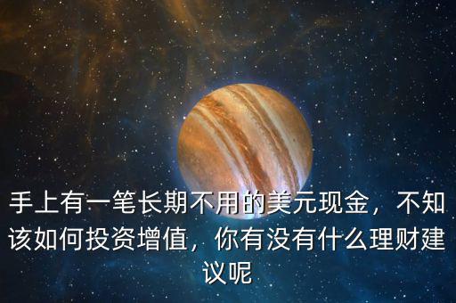 手上有一筆長(zhǎng)期不用的美元現(xiàn)金，不知該如何投資增值，你有沒(méi)有什么理財(cái)建議呢