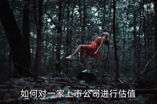 如何對一家上市公司進(jìn)行估值
