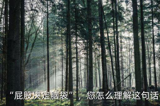 “屁股決定腦袋”，您怎么理解這句話