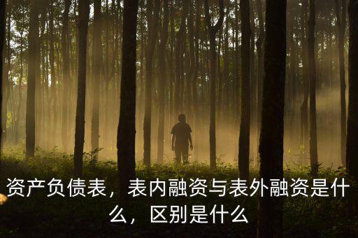 資產(chǎn)負(fù)債表，表內(nèi)融資與表外融資是什么，區(qū)別是什么
