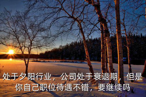 處于夕陽行業(yè)，公司處于衰退期，但是你自己職位待遇不錯，要繼續(xù)嗎