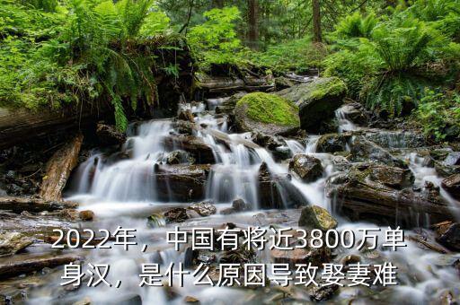 2022年，中國有將近3800萬單身漢，是什么原因?qū)е氯⑵揠y