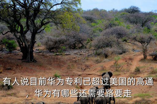 有人說(shuō)目前華為專利已超過(guò)美國(guó)的高通，華為有哪些還需要路要走