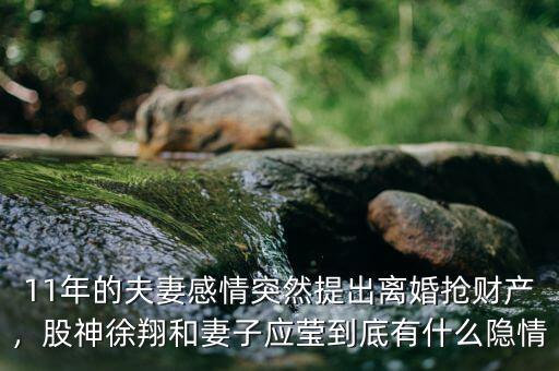 11年的夫妻感情突然提出離婚搶財產(chǎn)，股神徐翔和妻子應(yīng)瑩到底有什么隱情