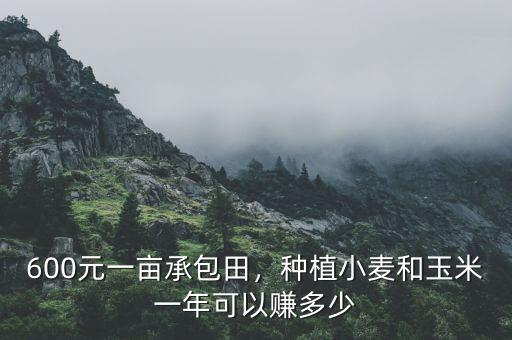 600元一畝承包田，種植小麥和玉米一年可以賺多少