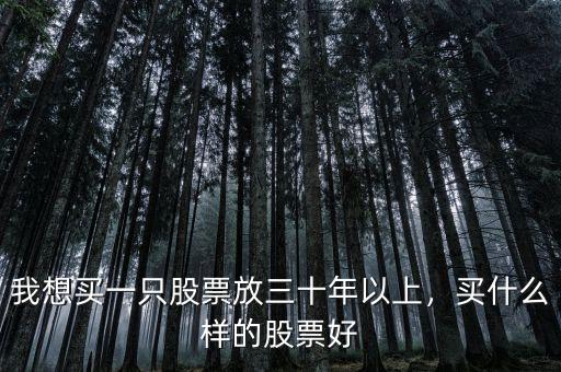 我想買(mǎi)一只股票放三十年以上，買(mǎi)什么樣的股票好