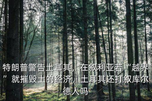 特朗普警告土耳其，在敘利亞若“越界”就摧毀土的經(jīng)濟(jì)，土耳其還打敘庫(kù)爾德人嗎